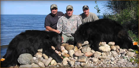 Mamemo Outfitting & Consulting - McKinnon & Comapny Outfitters - Bear