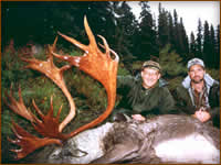Mamemo Outfitting & Consulting - North Alaska Expeditions - Caribou