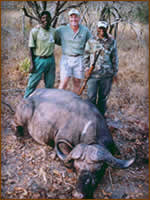 Mamemo Outfitting & Consulting - Nyaka Safaris - Cape Buffalo