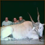 Mamemo Outfitting & Consulting - Serapa Safaris - Kudu